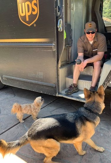 UPS driver holding ball out to two dogs.