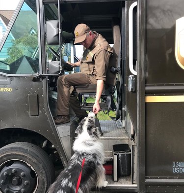 UPS driver feeding dog a treat