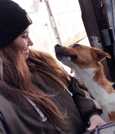 Dog looking lovingly at female UPS driver.