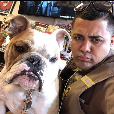 UPS driver and a bulldog have matching frowns.