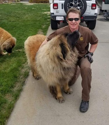 UPS driver hugging a fluffy dog.