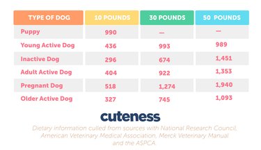 infographic of daily calorie needs for dogs
