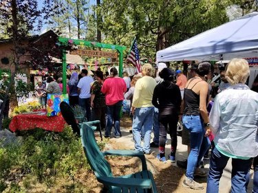Visitors lining up for Dog Mayor Max's birthday in Idyllwild