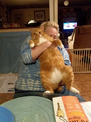 21 reasons why orange tabby cats are the best tabby cats