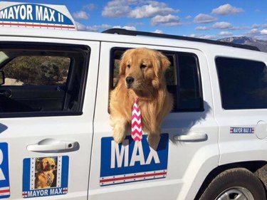 Dog Mayor Max in his MayorMobile