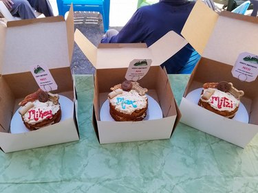 Three birthday cakes for the dog mayor and deputies