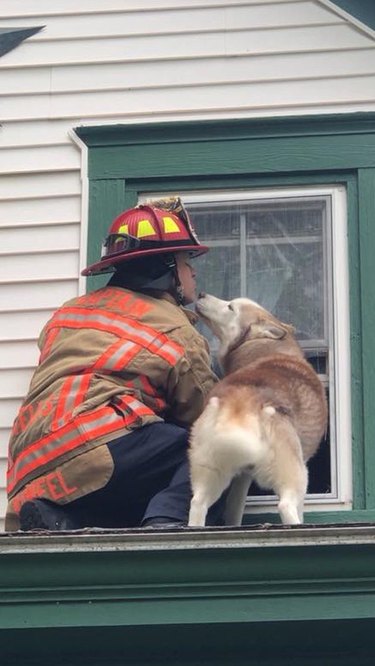 This Dog Kissed the Firefighter Who Rescued Him and We're Melting