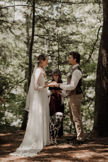 Dalmatian huddles between bride and groom at wedding