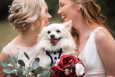 flower dog with newly married couple