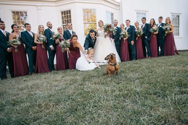 small dog on leash pulls flower girl at wedding