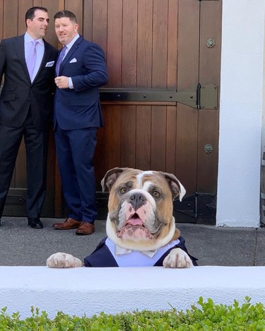 dog in tuxedo catches glimpse of bride at wedding