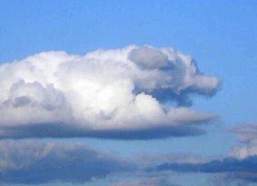 Photo of cloud that looks like running dog