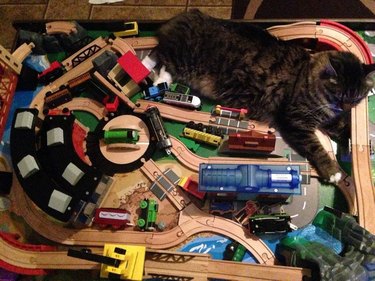 Cat lying on a destroyed toy train track