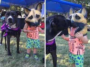 Little kid in a dog mask and his dog friend licks him