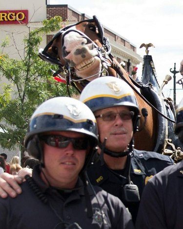 Grinning horse behind two policemen.