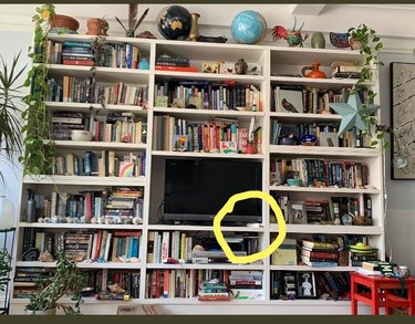 cat hides on bookshelf under tv