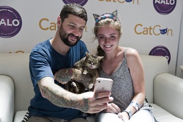 Everything you need to know about CatCon 2019