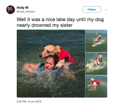 19 Funny Tweets About Pets Guaranteed To Make You Spit Up Your Drink