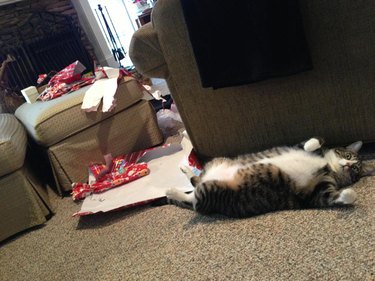 Cat opened all the Christmas presents!