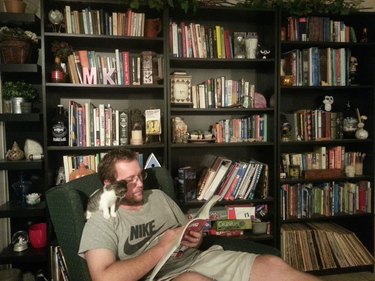 Kitten sitting on the shoulder of a guy reading in a library