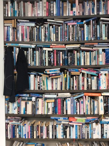 cat hides on bookshelf