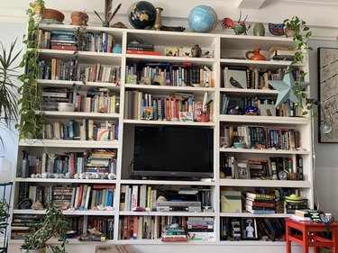 cat sleeping on bookshelf