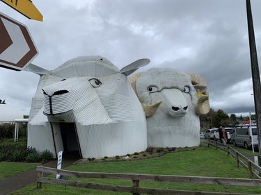 New Zealand buildings shaped like sheep and ram
