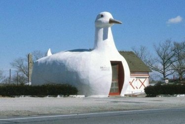 building shaped like chicken