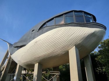 building shaped like a whale