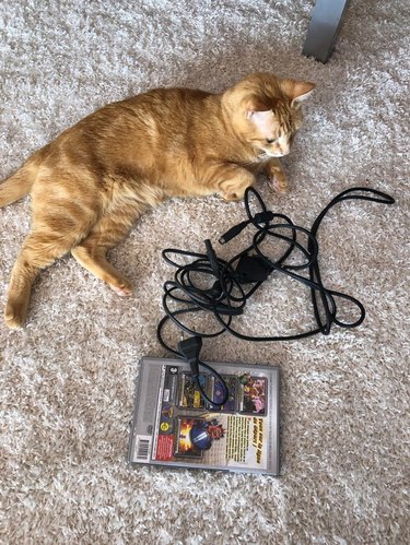 A ginger cat is with a gaming peripheral cables and video game in box.