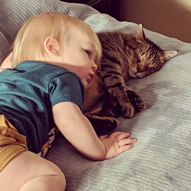 Toddler with head on sleeping cat.