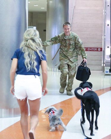 Excited dogs greet soldier in airport