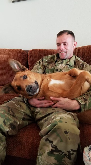 Dog welcomes soldier back from deployment