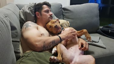Dog snuggles with soldier on couch