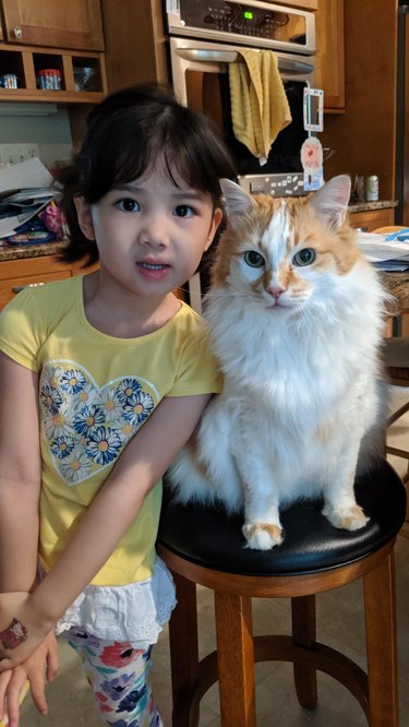 Little girl and cat.