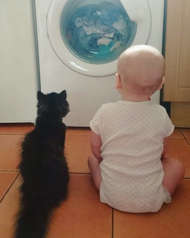 Cat and baby watching a washing machine.