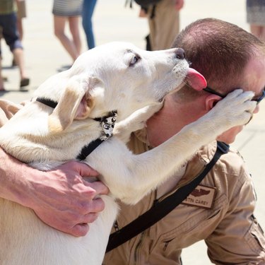 Dog excited to see soldier returning home