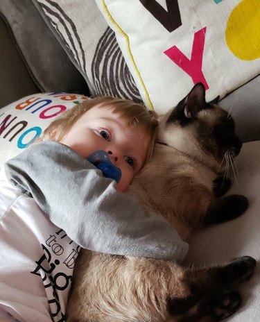 Toddler cuddling a cat.