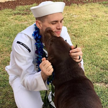 dog kisses seaman returning home from tour of duty