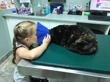 Little girl putting face into cat's Elizabethan collar.