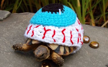 tortoise in eyeball costume