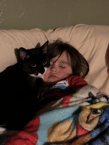 Cat with a paw on top of sleeping child.