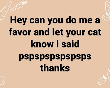let your cat know i said pspspspspspsps meme