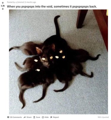 pile of creepy black cats