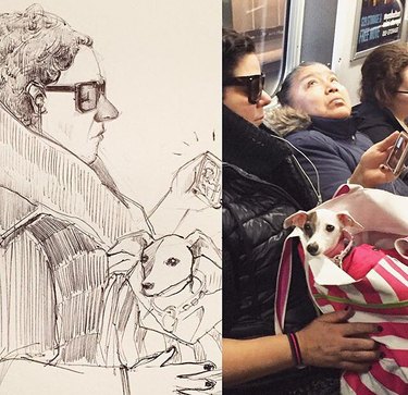sketch of dog in bag on NYC train