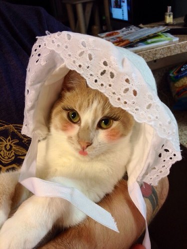 Cat in makeup wearing a doll bonnet