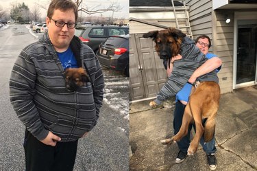 Side-by-side photos of dog as a puppy and an adult.
