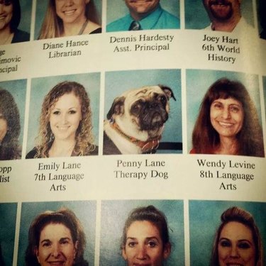 24 dogs winning all the yearbook awards and superlatives