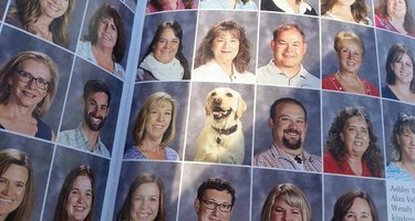 24 dogs winning all the yearbook awards and superlatives