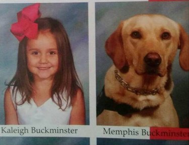 24 dogs winning all the yearbook awards and superlatives